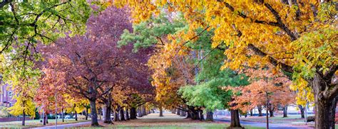 Additional Services Corvallis Oregon Additional Services Corvallis Oregon