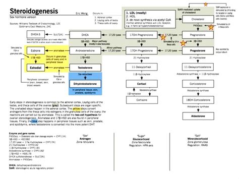 Anabolic Steroids And Trt Decrease Shbg Dhea Pregnenolone And