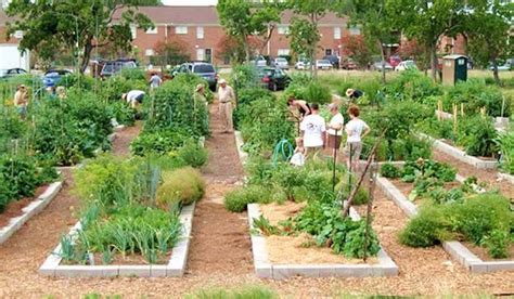 Community Garden Near Me