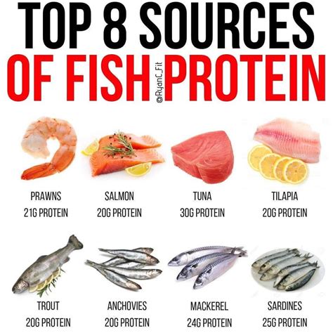 Does Fish Have Protein