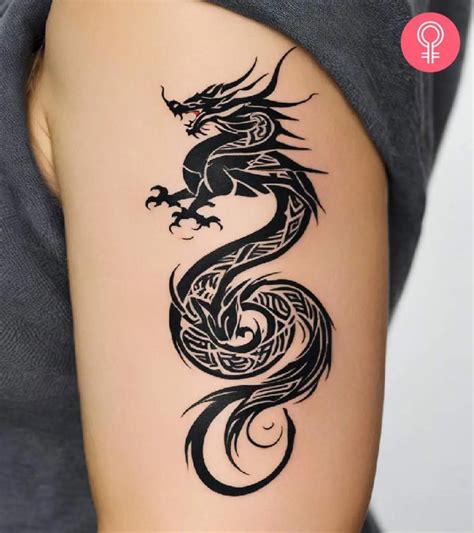 Dragon Tattoo Tribal Dragon Tattoo Dragon Tattoo Tribal Dragon Tattoo