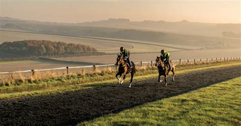 Facilities Jockey Club Estates Facilities Jockey Club Estates