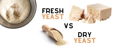 Fresh Active Yeast