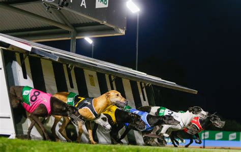 Greyhound Racing Victoria Greyhound Racing Victoria