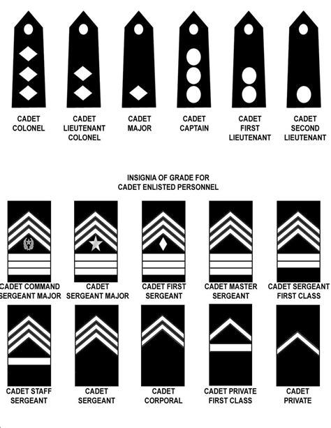 Jrotc Ranks And Meanings