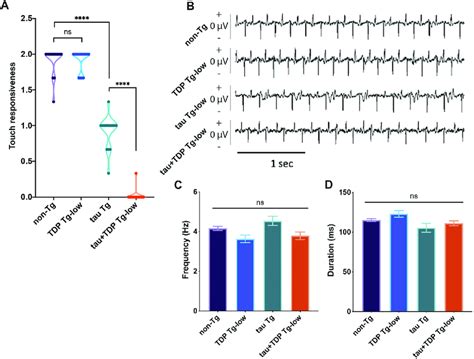 Low Tg Replicates: A Definitive Guide To Understanding And Using Them
