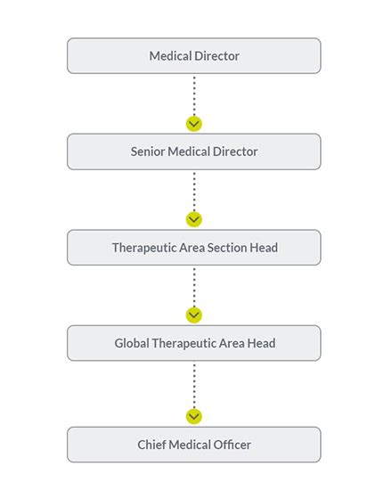 The History and Evolution of Medical Director Jobs