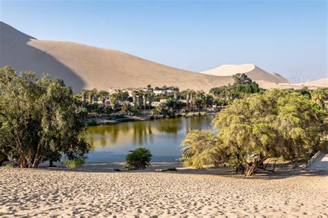 Oasis What Is It How It Is Formed And Examples Evidence Network