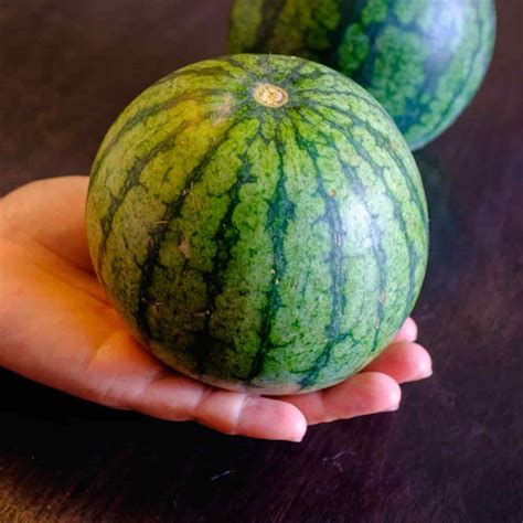 Seedless Mini Watermelons