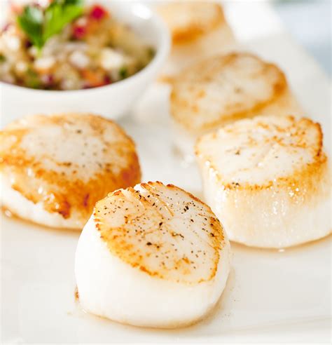 Shellfish Dry Sea Scallops Great Alaska Seafood