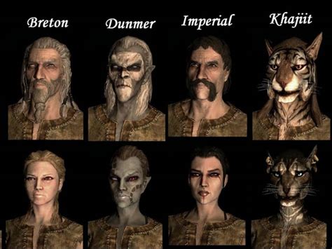 Skyrim Races Guide
