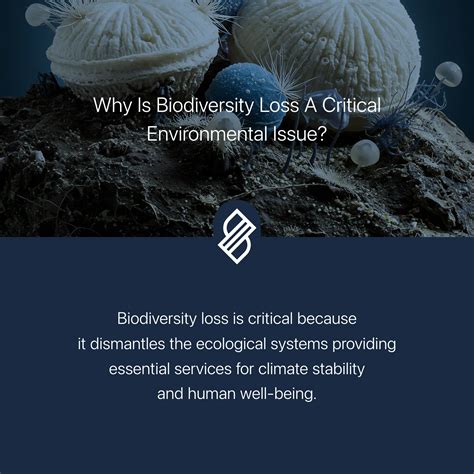 Origin And History Of This Issue Is Critical Because Context Matters