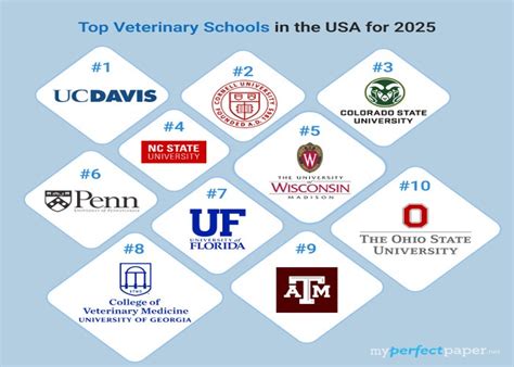 Vet Schools In The Us